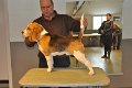 Afb_20130120_Watson (2)